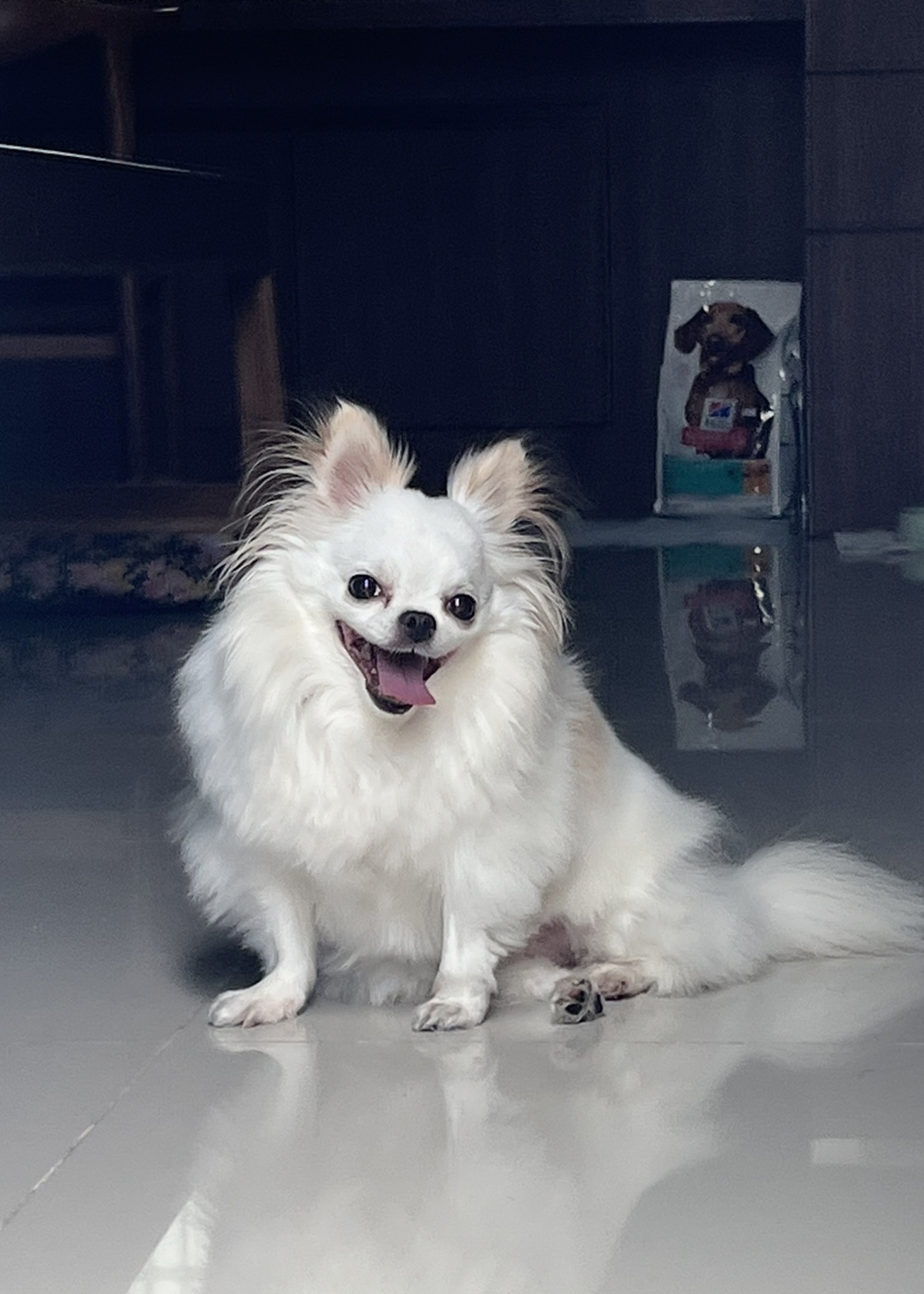 Lucy Photo